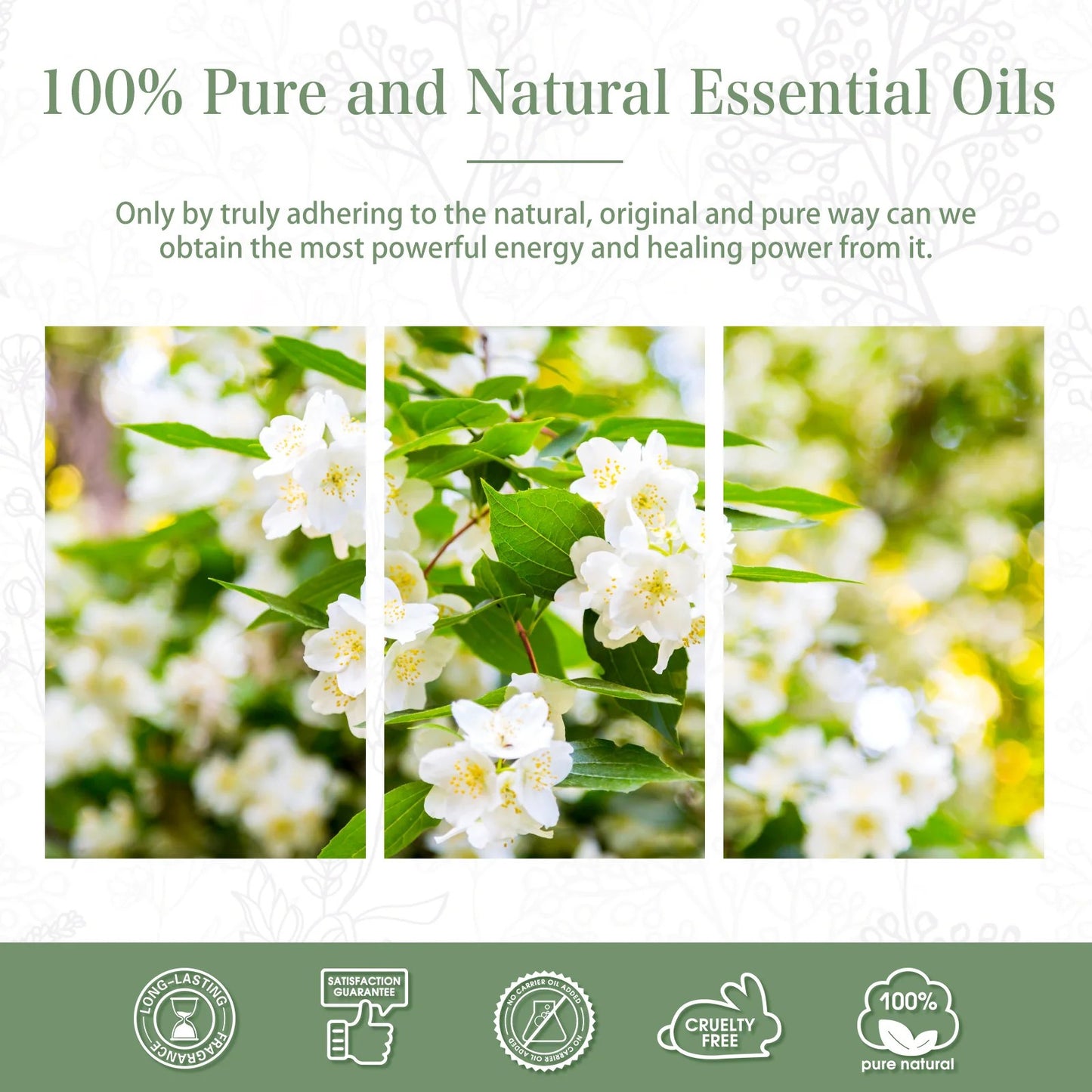 Phatoil Essential Oils