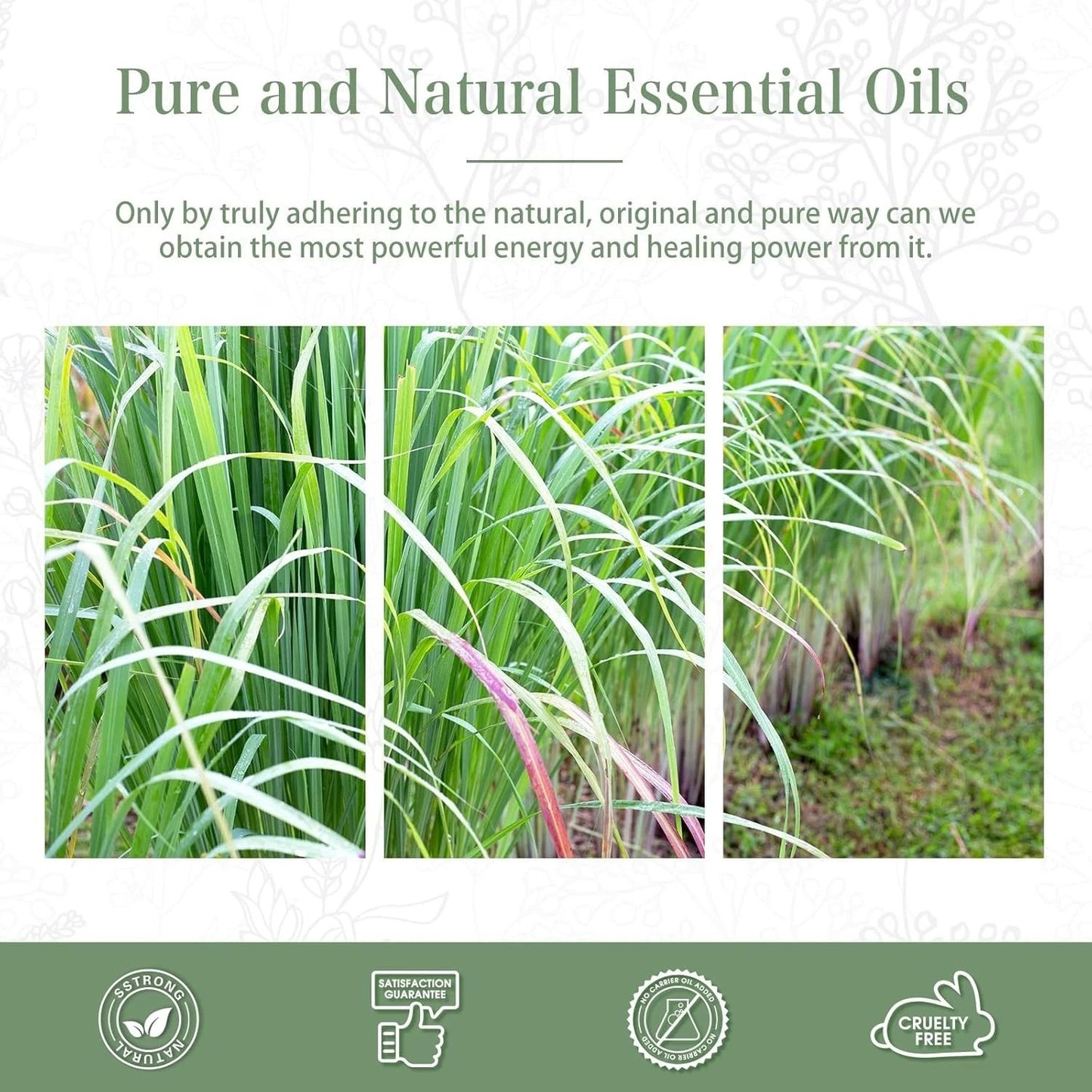 Phatoil Essential Oils